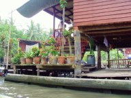 Home de Pot