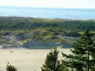 Green Sands