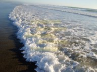 Ocean Waves