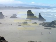 Morning Fog