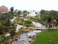 Oasis