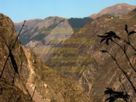 Alps..